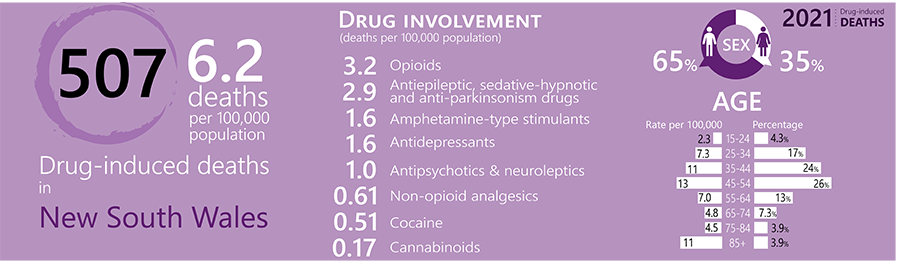 image - Trends in Overdose and Other Drug-Induced Deaths in New South Wales, 2002-2021​