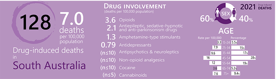 image - Trends in Overdose and Other Drug-Induced Deaths in South Australia, 2002-2021​