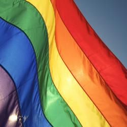 image - Gay Flag Square