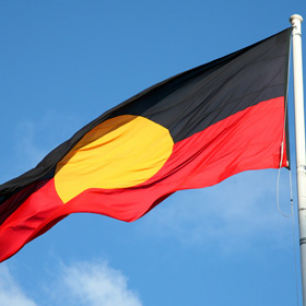 Indigenous Flag