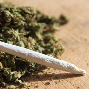 Police responses to cannabis use/possession