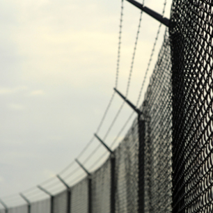 image - Barbed Wire Fence 2 Square