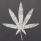 Image - Cannabis-smoking teens less likely to complete education Image - Cannabis-smoking teens less likely to complete education