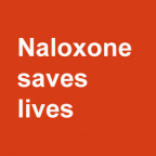 Image - International Overdose Day: Remembering and preventing lives lost from drug overdose Image - International Overdose Day: Remembering and preventing lives lost from drug overdose