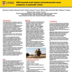 Mild traumatic brain injuries and posttraumatic stress symptoms: A systematic review
