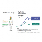 What do we know about synthetic cannabinoids?